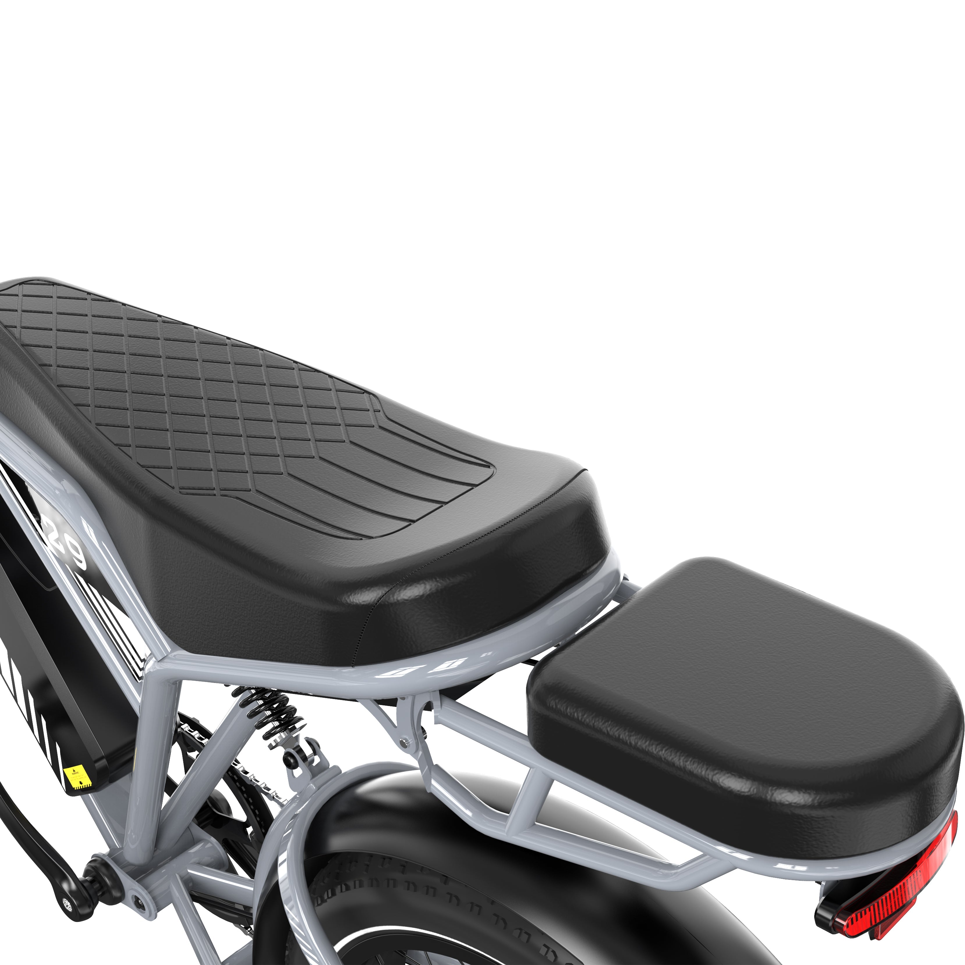 RCB RK29 Electric Bike for Adults(RCB E BIKE)