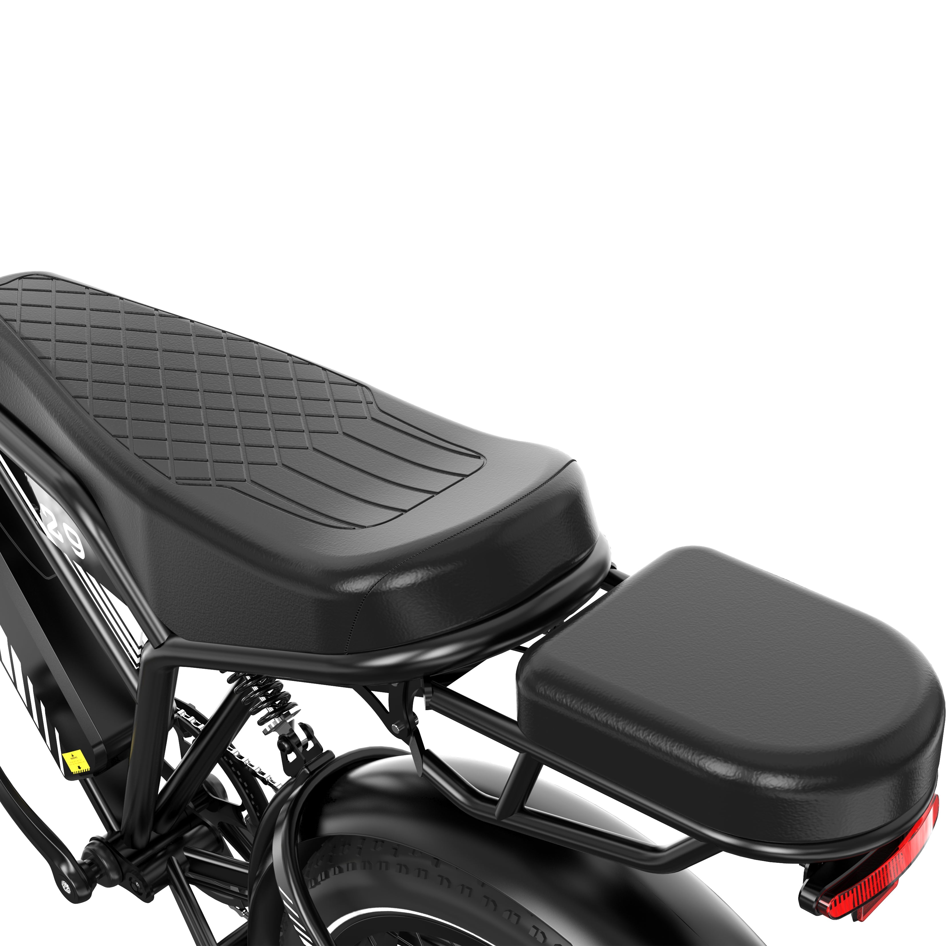 RCB RK29 Electric Bike for Adults(RCB E BIKE)