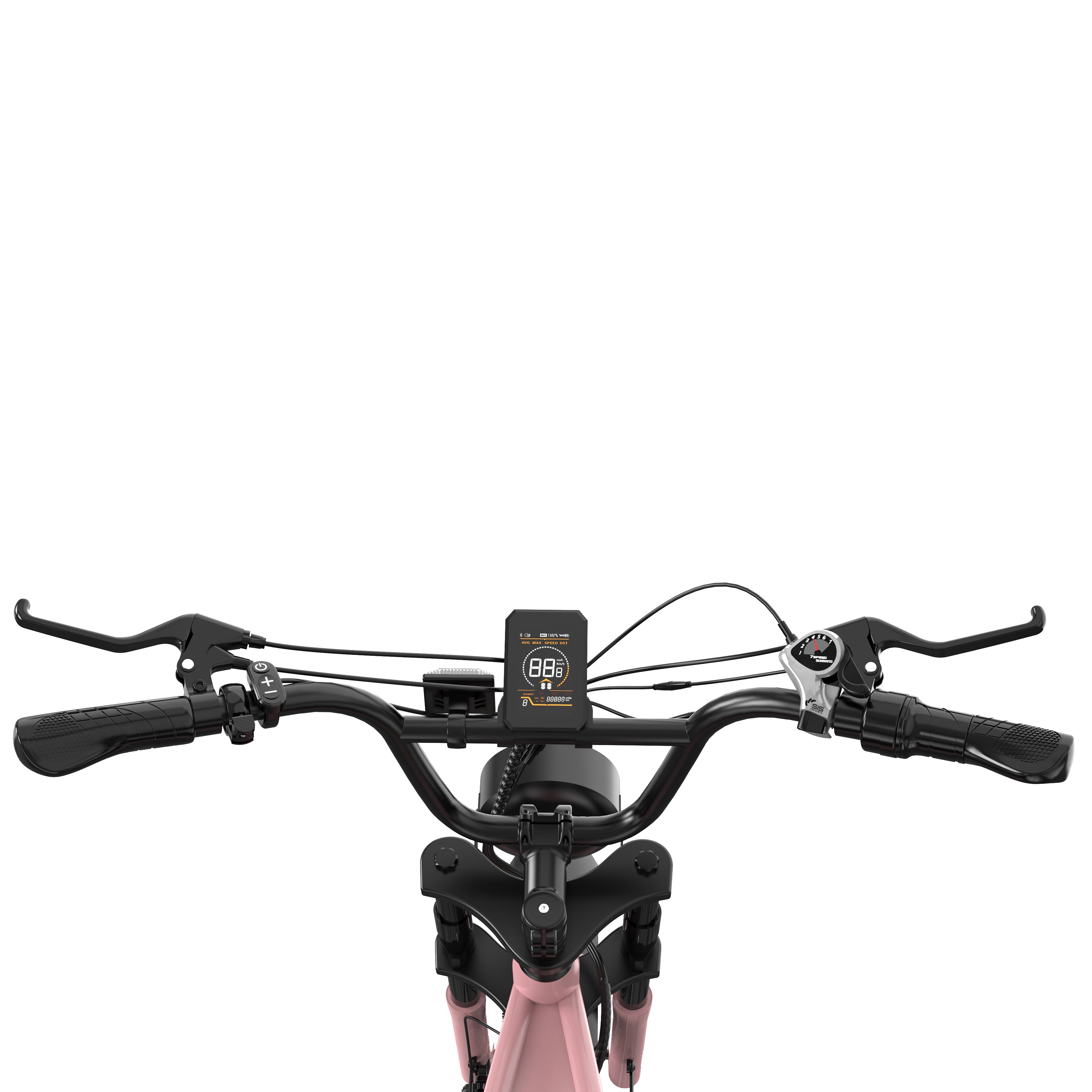 RCB RK29 Electric Bike for Adults(RCB E BIKE)