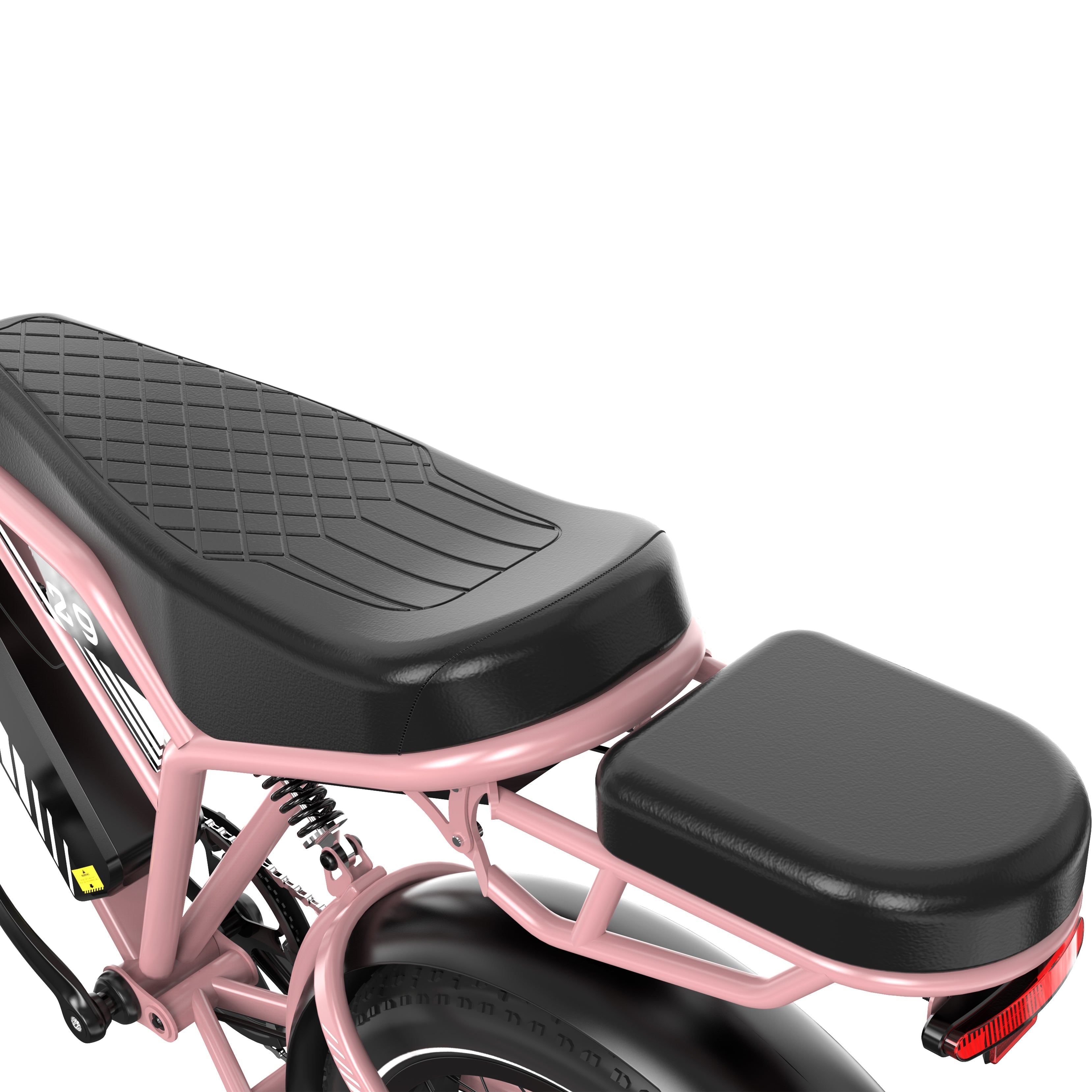 RCB RK29 Electric Bike for Adults(RCB E BIKE)