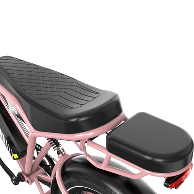 RCB RK29 Electric Bike for Adults(RCB E BIKE)