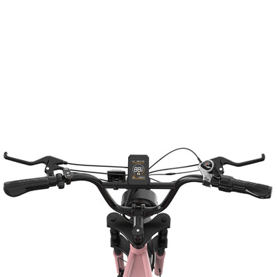 RCB RK29 Electric Bike for Adults(RCB E BIKE)