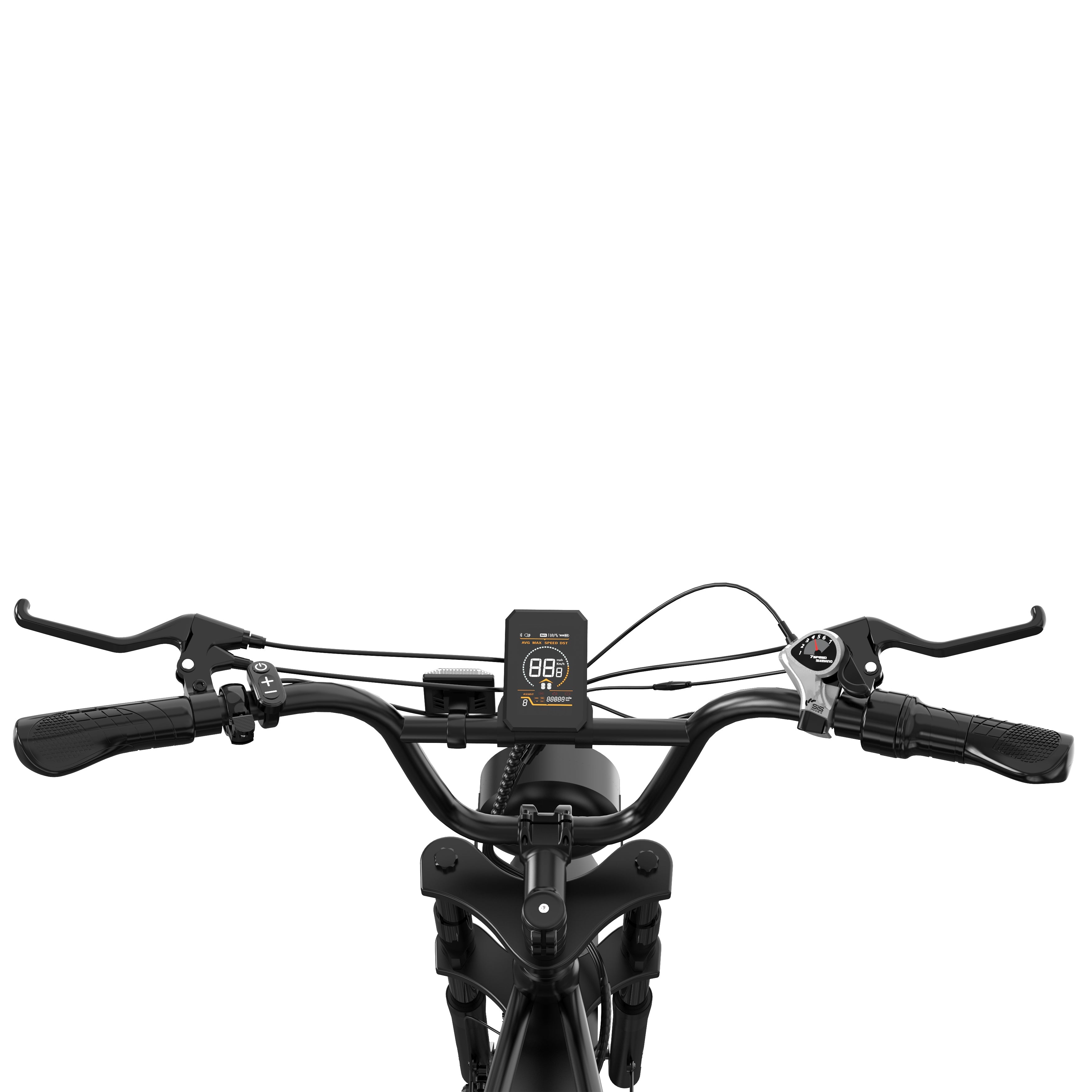 RCB RK29 Electric Bike for Adults(RCB E BIKE)