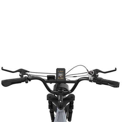 RCB RK29 Electric Bike for Adults(RCB E BIKE)