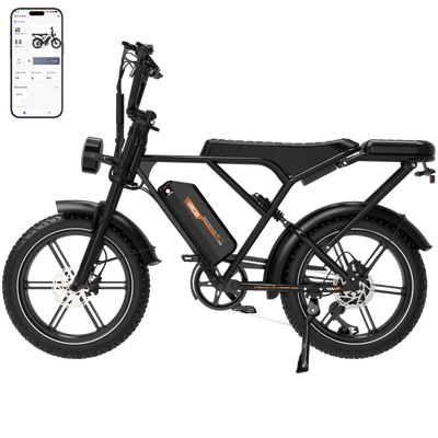 RCB G19 Electric Bike for Adults(RCB APP&NFC E BIKE)