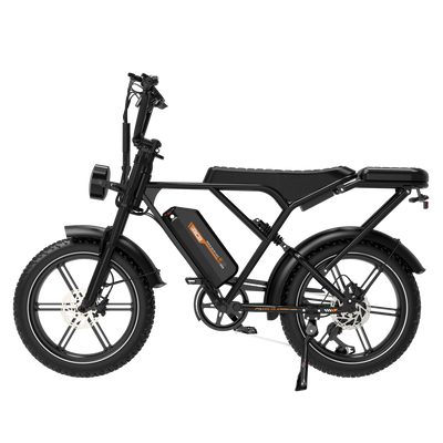 RCB G19 Electric Bike for Adults(RCB APP&NFC E BIKE)