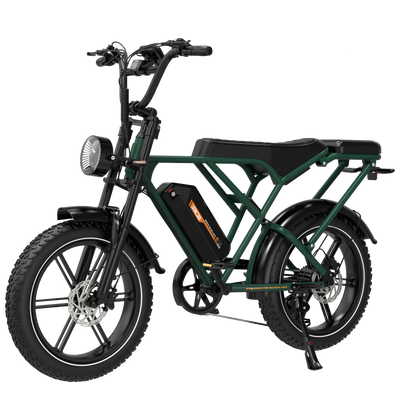 RCB G19 Electric Bike for Adults(RCB APP&NFC E BIKE)