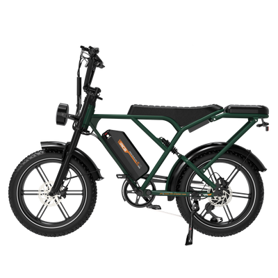 RCB G19 Electric Bike for Adults(RCB APP&NFC E BIKE)