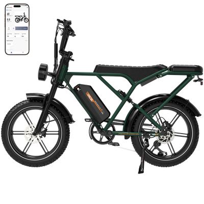 RCB G19 Electric Bike for Adults(RCB APP&NFC E BIKE)
