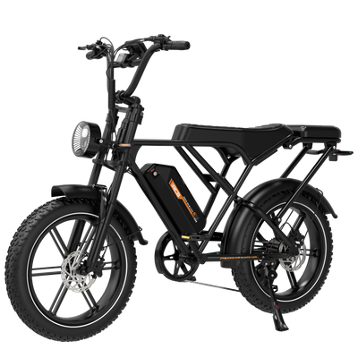 RCB G19 Electric Bike for Adults(RCB APP&NFC E BIKE)