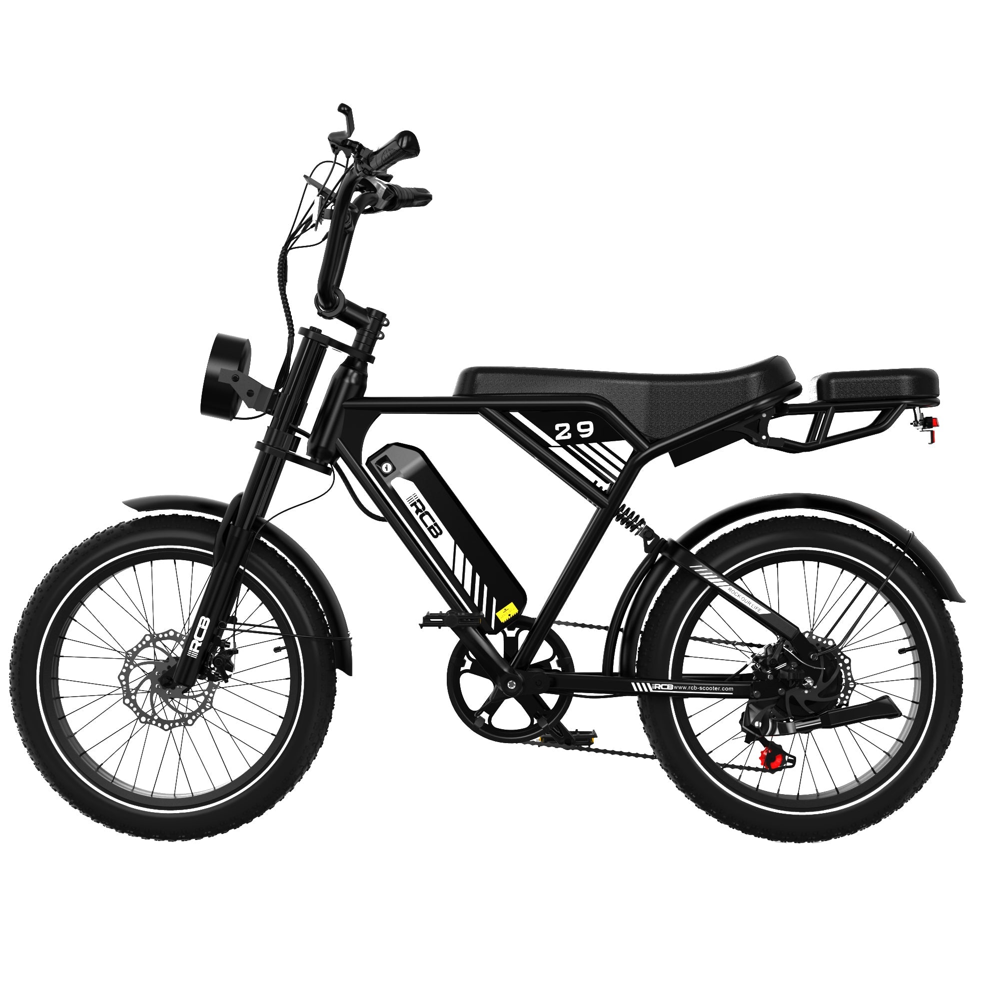 RCB RK29 Electric Bike for Adults(RCB E BIKE)