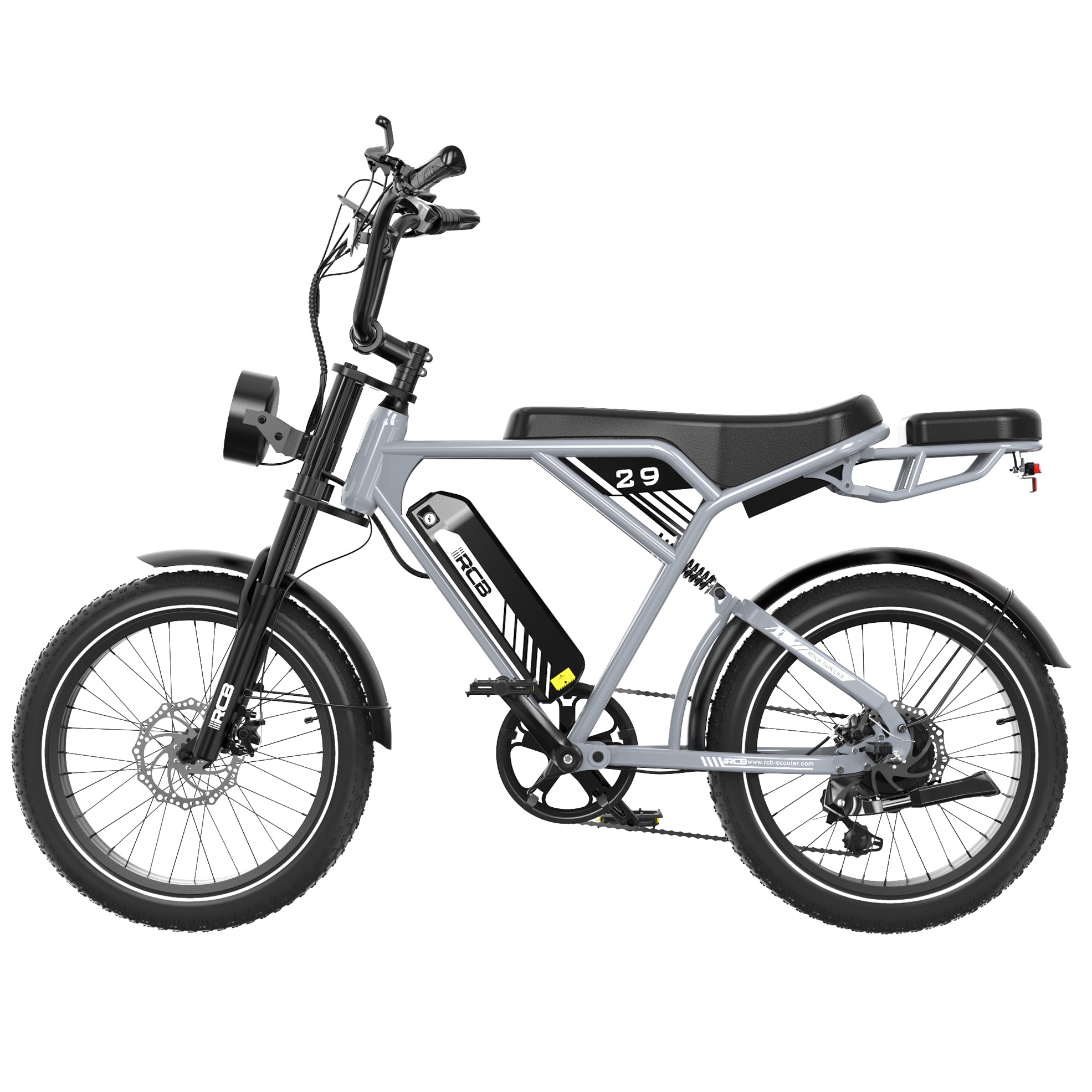 RCB RK29 Electric Bike for Adults(RCB E BIKE)
