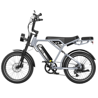RCB RK29 Electric Bike for Adults(RCB E BIKE)