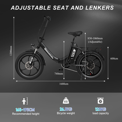 RCB RK6 Fat Tire Folding Electric Bicycle(RCB APP E BIKE)