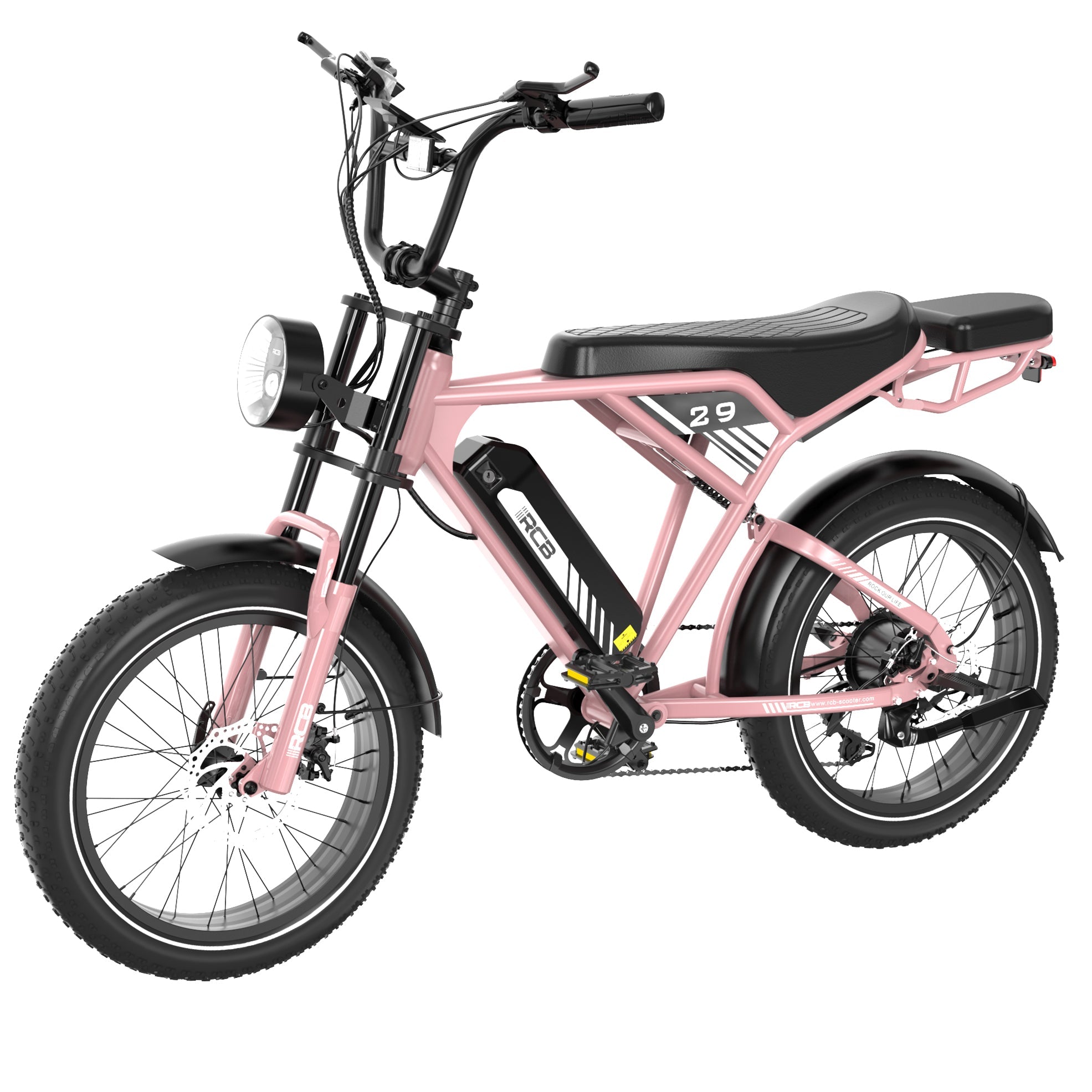 RCB RK29 Electric Bike for Adults(RCB E BIKE)