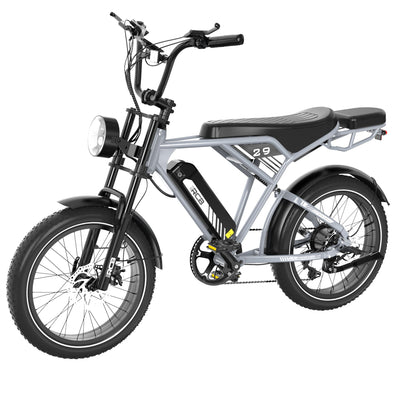 RCB RK29 Electric Bike for Adults(RCB E BIKE)