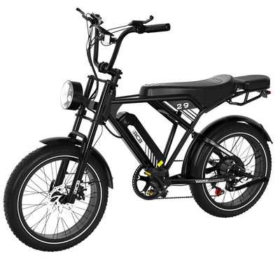 RCB RK29 Electric Bike for Adults(RCB E BIKE)