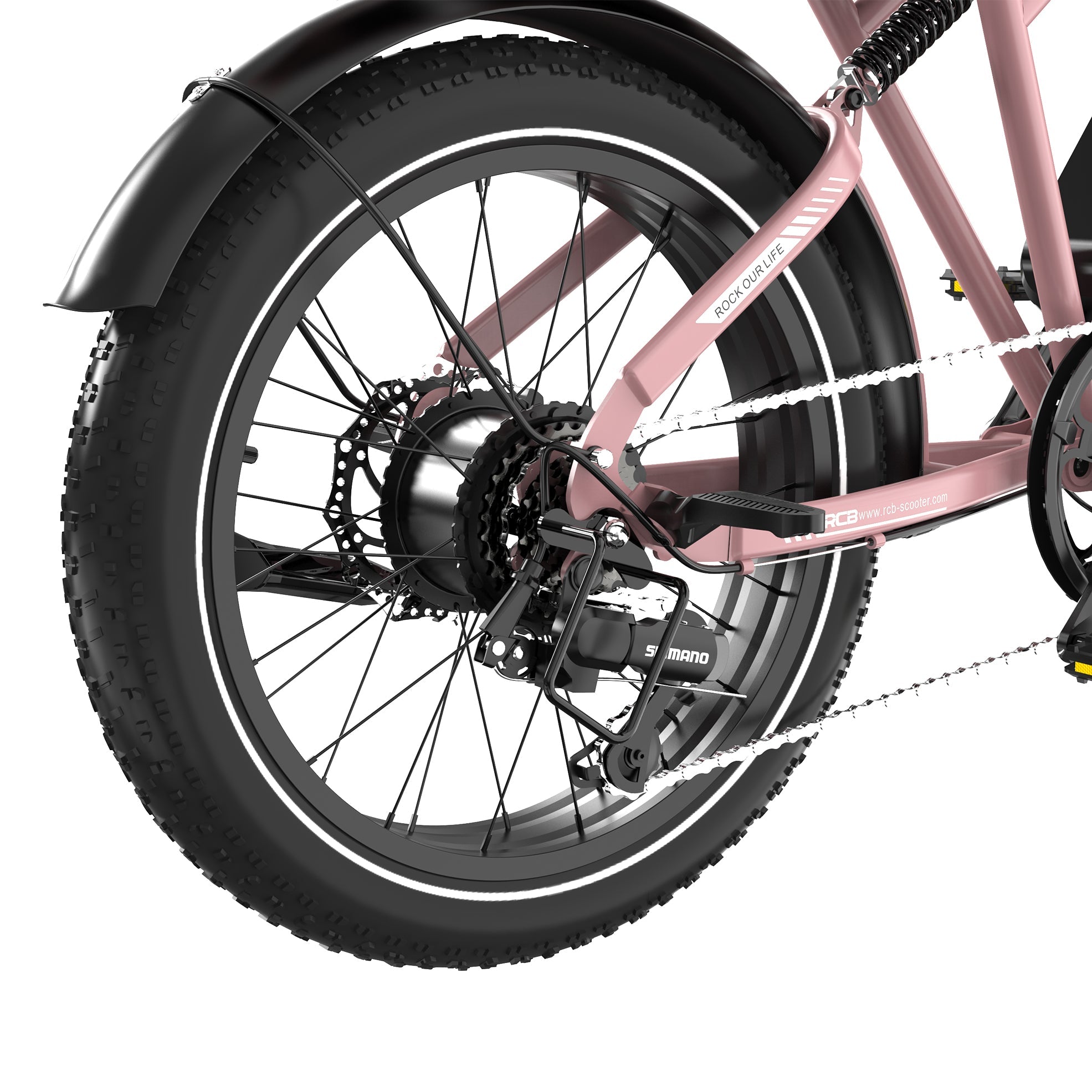 RCB RK29 Electric Bike for Adults(RCB E BIKE)