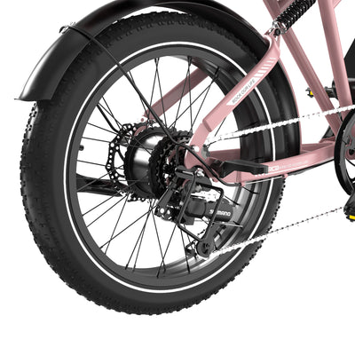 RCB RK29 Electric Bike for Adults(RCB E BIKE)