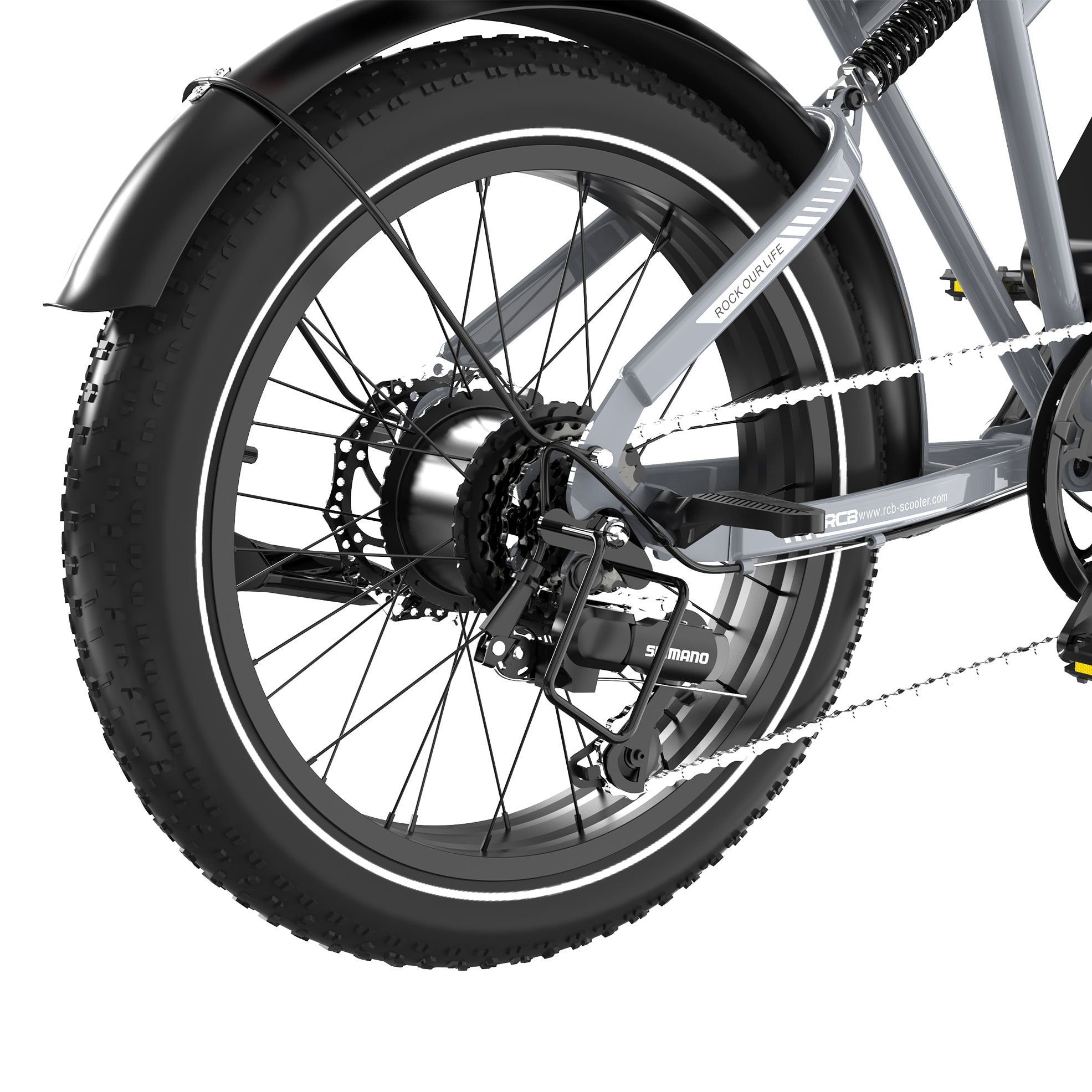 RCB RK29 Electric Bike for Adults(RCB E BIKE)