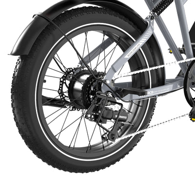 RCB RK29 Electric Bike for Adults(RCB E BIKE)
