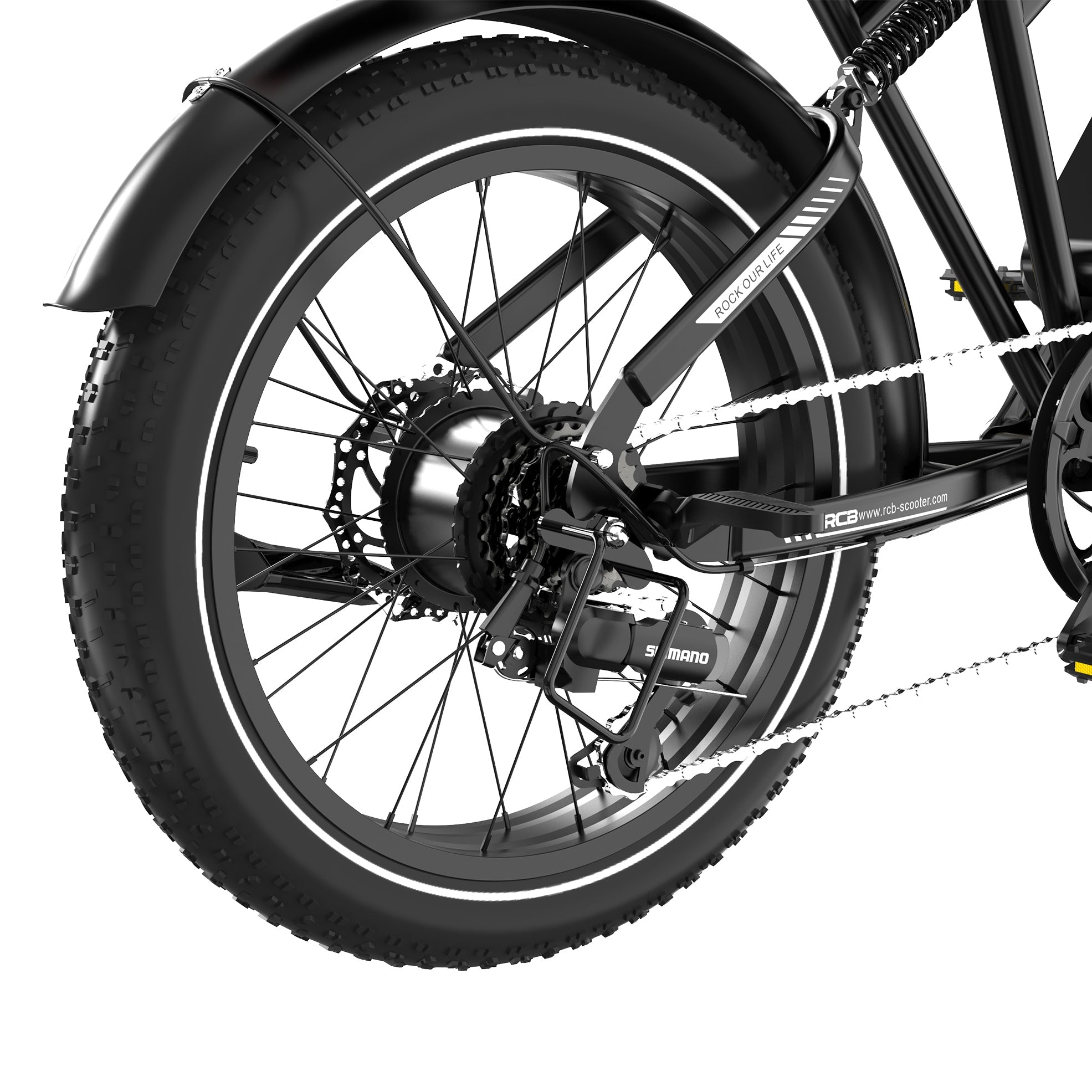 RCB RK29 Electric Bike for Adults(RCB E BIKE)