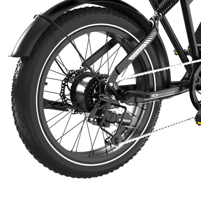 RCB RK29 Electric Bike for Adults(RCB E BIKE)