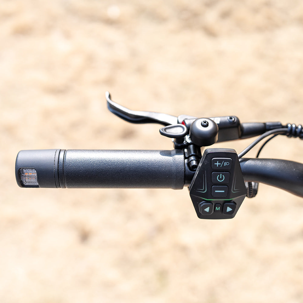 RCB D7 MAX ABE Elektroroller Dual Motors NFC Blinker