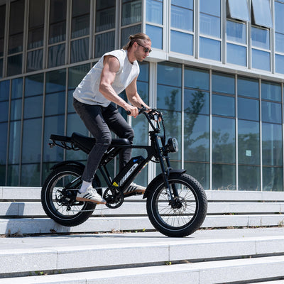 RCB RK29 Electric Bike for Adults(RCB E BIKE)