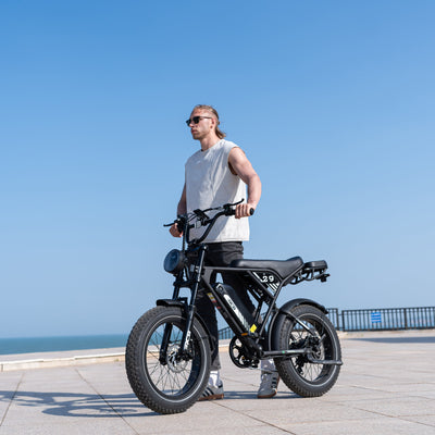 RCB RK29 Electric Bike for Adults(RCB E BIKE)