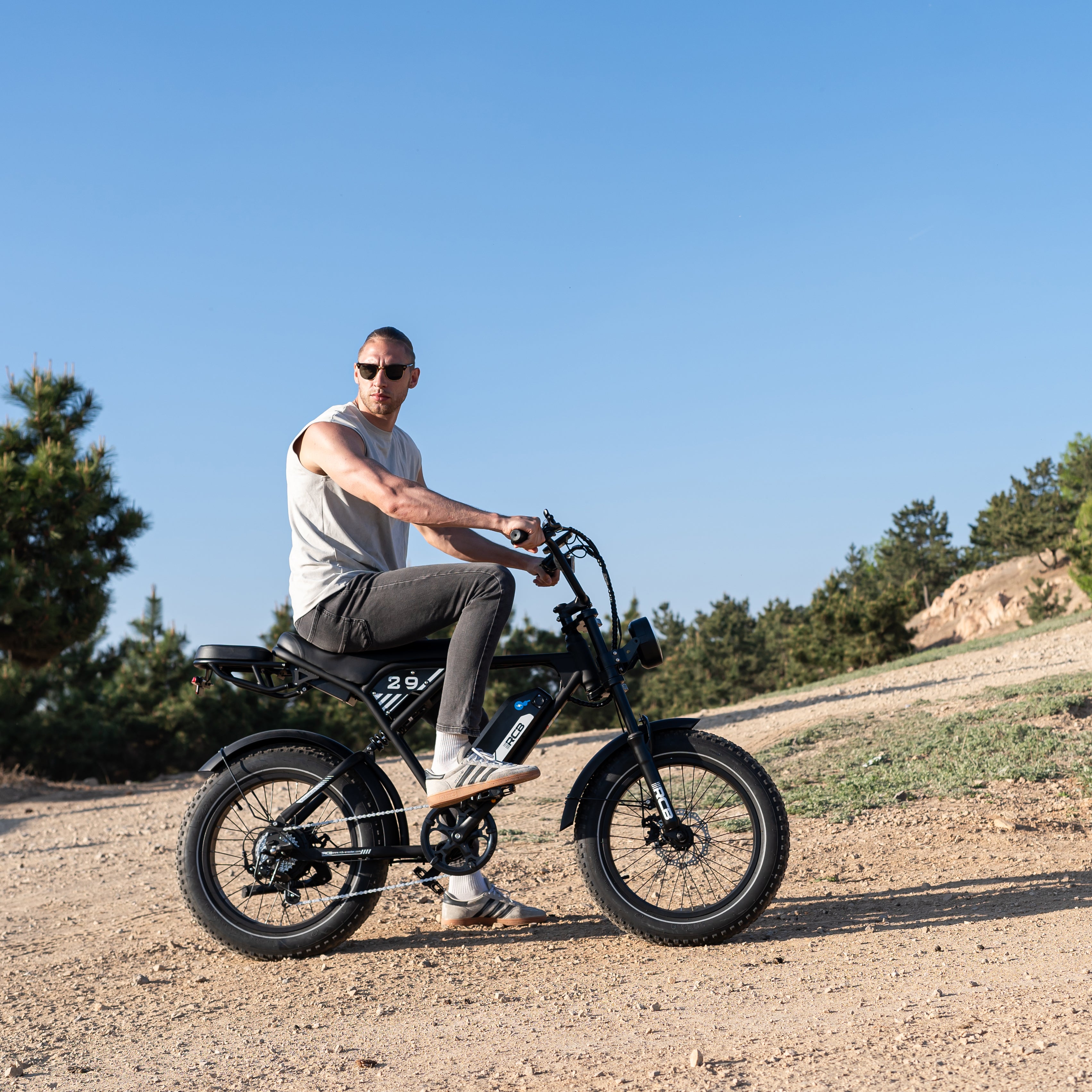 RCB RK29 Electric Bike for Adults(RCB E BIKE)