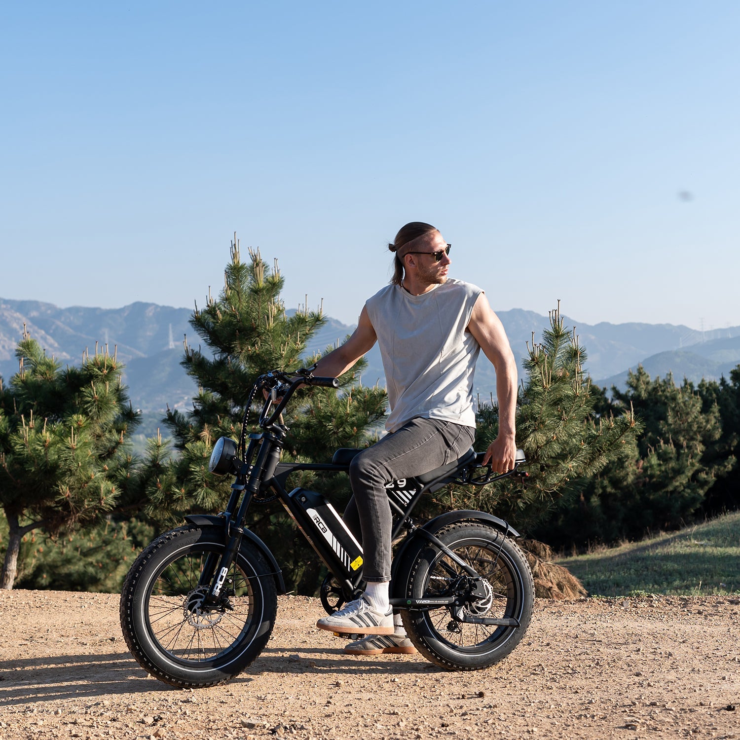 RCB RK29 Electric Bike for Adults(RCB E BIKE)