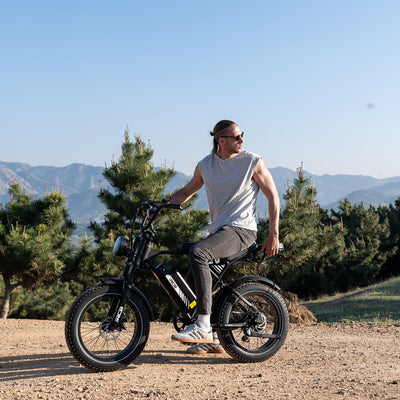 RCB RK29 Electric Bike for Adults(RCB E BIKE)