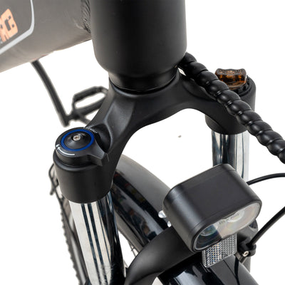 RCB G5 Elektrofahrrad für Erwachsene (RCB-App)&NFC E-BIKE)