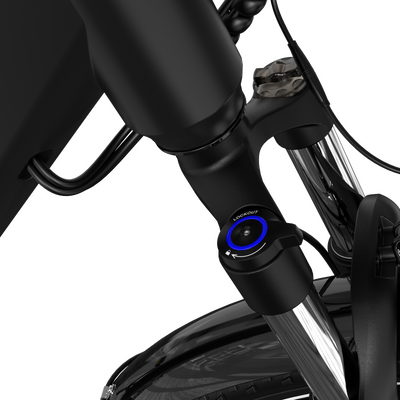 RCB G6 Electric Bike for Adults(RCB APP&NFC E BIKE)