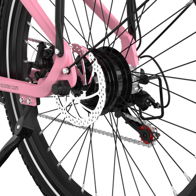 RCB G6 Electric Bike for Adults(RCB APP&NFC E BIKE)