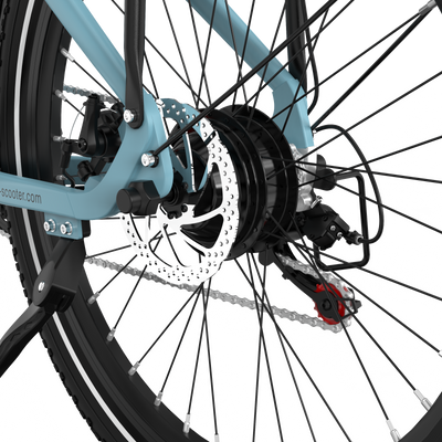 RCB G6 Electric Bike for Adults(RCB APP&NFC E BIKE)