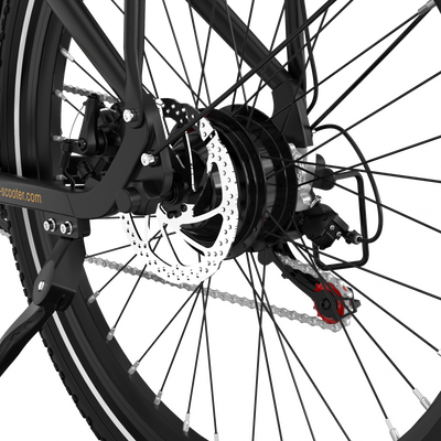 RCB G6 Electric Bike for Adults(RCB APP&NFC E BIKE)