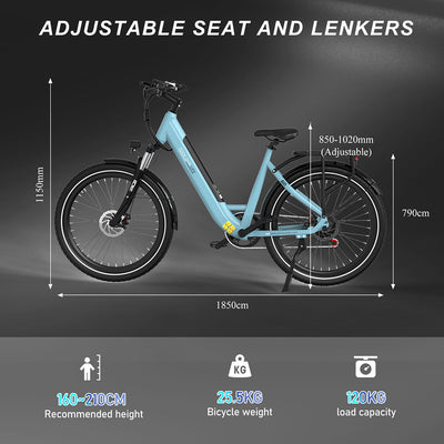 RCB G6 Electric Bike for Adults(RCB APP&NFC E BIKE)