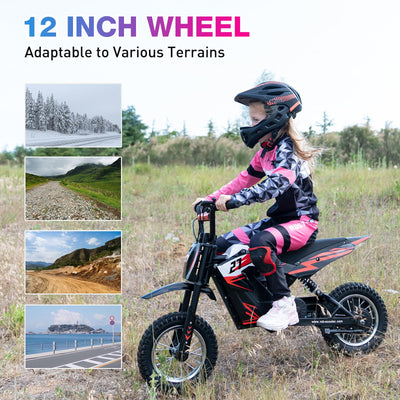 RCB R9X Elektro-Motocross-Dirtbike