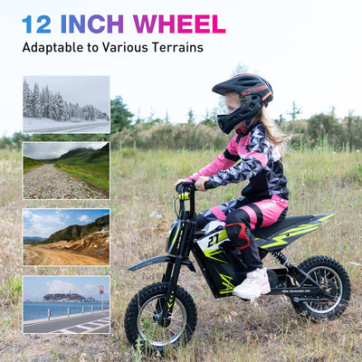 RCB R9X Elektro-Motocross-Dirtbike