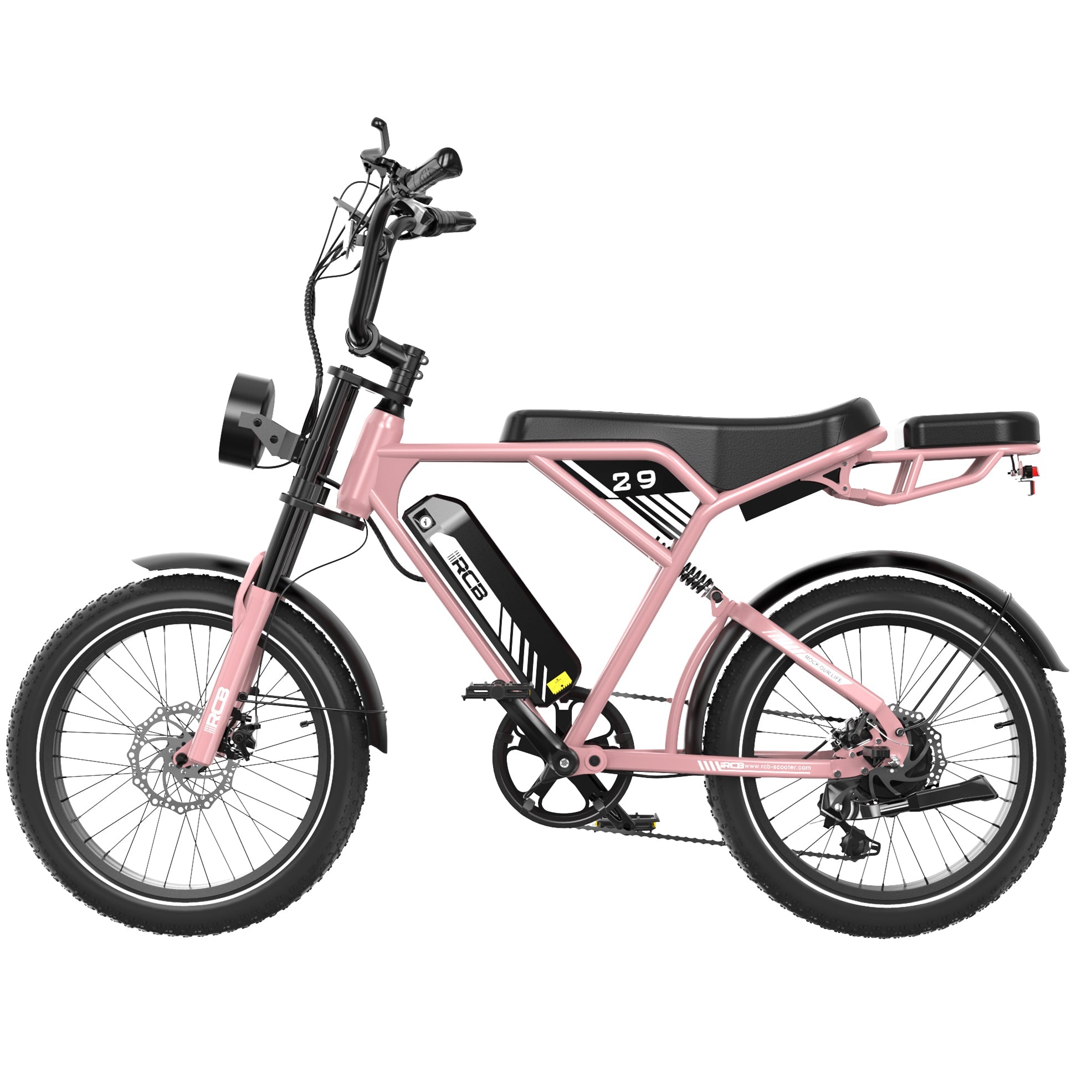 RCB RK29 Electric Bike for Adults(RCB E BIKE)