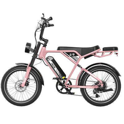 RCB RK29 Electric Bike for Adults(RCB E BIKE)