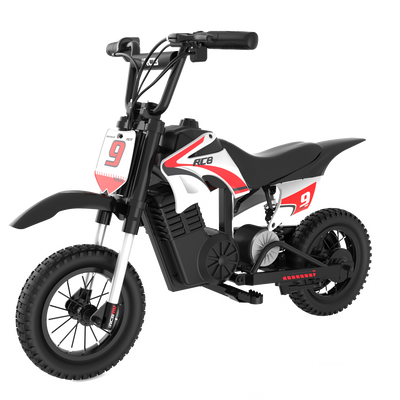 RCB R9X PRO Elektro-Motocross-Dirtbike